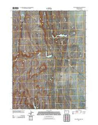 Piute Reservoir Oregon Historical topographic map, 1:24000 scale, 7.5 X 7.5 Minute, Year 2011