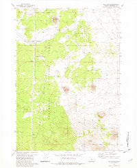 Plot Butte Oregon Historical topographic map, 1:24000 scale, 7.5 X 7.5 Minute, Year 1981