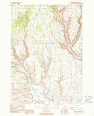 Poison Creek Oregon Historical topographic map, 1:24000 scale, 7.5 X 7.5 Minute, Year 1990