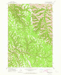 Poison Point Oregon Historical topographic map, 1:24000 scale, 7.5 X 7.5 Minute, Year 1963