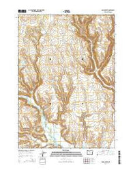 Poison Creek Oregon Current topographic map, 1:24000 scale, 7.5 X 7.5 Minute, Year 2014