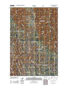 Poison Point Oregon Historical topographic map, 1:24000 scale, 7.5 X 7.5 Minute, Year 2011