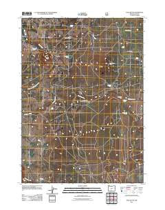 Pole Butte Oregon Historical topographic map, 1:24000 scale, 7.5 X 7.5 Minute, Year 2011