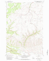 Postage Stamp Butte Oregon Historical topographic map, 1:24000 scale, 7.5 X 7.5 Minute, Year 1962