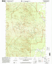 Pothole Butte Oregon Historical topographic map, 1:24000 scale, 7.5 X 7.5 Minute, Year 1999