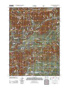 Potter Mountain Oregon Historical topographic map, 1:24000 scale, 7.5 X 7.5 Minute, Year 2011