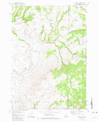 Powell Mtn Oregon Historical topographic map, 1:24000 scale, 7.5 X 7.5 Minute, Year 1981