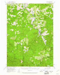Powers Oregon Historical topographic map, 1:62500 scale, 15 X 15 Minute, Year 1954