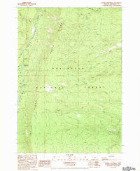 Prairie Farm Spring Oregon Historical topographic map, 1:24000 scale, 7.5 X 7.5 Minute, Year 1988