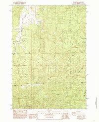Prairie Peak Oregon Historical topographic map, 1:24000 scale, 7.5 X 7.5 Minute, Year 1984
