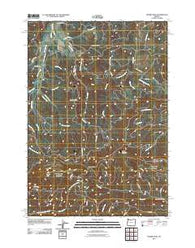 Prairie Peak Oregon Historical topographic map, 1:24000 scale, 7.5 X 7.5 Minute, Year 2011