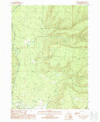 Prospect North Oregon Historical topographic map, 1:24000 scale, 7.5 X 7.5 Minute, Year 1989