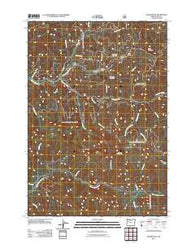 Quartzville Oregon Historical topographic map, 1:24000 scale, 7.5 X 7.5 Minute, Year 2011