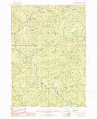 Rabbit Mountain Oregon Historical topographic map, 1:24000 scale, 7.5 X 7.5 Minute, Year 1990