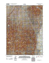 Rabbit Hills SW Oregon Historical topographic map, 1:24000 scale, 7.5 X 7.5 Minute, Year 2011