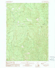Ragsdale Butte Oregon Historical topographic map, 1:24000 scale, 7.5 X 7.5 Minute, Year 1989