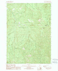 Ragsdale Butte Oregon Historical topographic map, 1:24000 scale, 7.5 X 7.5 Minute, Year 1989