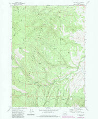 Rail Gulch Oregon Historical topographic map, 1:24000 scale, 7.5 X 7.5 Minute, Year 1972
