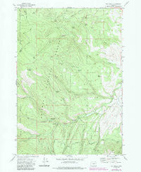 Rail Gulch Oregon Historical topographic map, 1:24000 scale, 7.5 X 7.5 Minute, Year 1972