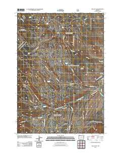 Rail Gulch Oregon Historical topographic map, 1:24000 scale, 7.5 X 7.5 Minute, Year 2011