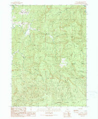 Rasler Creek Oregon Historical topographic map, 1:24000 scale, 7.5 X 7.5 Minute, Year 1990