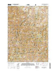 Rastus Mountain Oregon Current topographic map, 1:24000 scale, 7.5 X 7.5 Minute, Year 2014