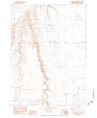 Rattlesnake Canyon Oregon Historical topographic map, 1:24000 scale, 7.5 X 7.5 Minute, Year 1982
