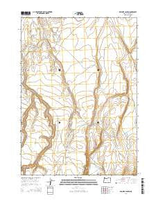 Rawhide Canyon Oregon Current topographic map, 1:24000 scale, 7.5 X 7.5 Minute, Year 2014