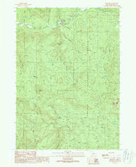 Red Butte Oregon Historical topographic map, 1:24000 scale, 7.5 X 7.5 Minute, Year 1989