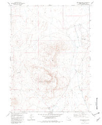 Red Mountain Oregon Historical topographic map, 1:24000 scale, 7.5 X 7.5 Minute, Year 1981