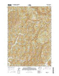Remote Oregon Current topographic map, 1:24000 scale, 7.5 X 7.5 Minute, Year 2014