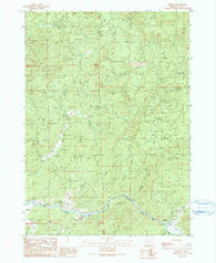 Remote Oregon Historical topographic map, 1:24000 scale, 7.5 X 7.5 Minute, Year 1990