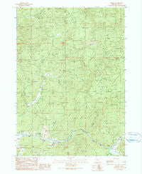 Remote Oregon Historical topographic map, 1:24000 scale, 7.5 X 7.5 Minute, Year 1990
