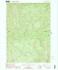 Reynolds Ridge Oregon Historical topographic map, 1:24000 scale, 7.5 X 7.5 Minute, Year 1989