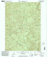 Reynolds Ridge Oregon Historical topographic map, 1:24000 scale, 7.5 X 7.5 Minute, Year 1998