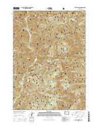 Reynolds Ridge Oregon Current topographic map, 1:24000 scale, 7.5 X 7.5 Minute, Year 2014