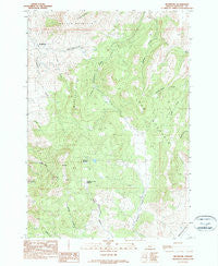 Richmond Oregon Historical topographic map, 1:24000 scale, 7.5 X 7.5 Minute, Year 1990