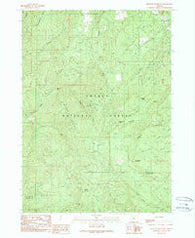 Richter Mountain Oregon Historical topographic map, 1:24000 scale, 7.5 X 7.5 Minute, Year 1989
