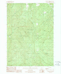 Richter Mountain Oregon Historical topographic map, 1:24000 scale, 7.5 X 7.5 Minute, Year 1989