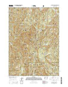 Richter Mountain Oregon Current topographic map, 1:24000 scale, 7.5 X 7.5 Minute, Year 2014