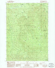 Rigdon Point Oregon Historical topographic map, 1:24000 scale, 7.5 X 7.5 Minute, Year 1986
