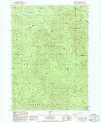 Rigdon Point Oregon Historical topographic map, 1:24000 scale, 7.5 X 7.5 Minute, Year 1986