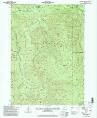 Rigdon Point Oregon Historical topographic map, 1:24000 scale, 7.5 X 7.5 Minute, Year 1997