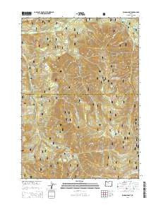 Rigdon Point Oregon Current topographic map, 1:24000 scale, 7.5 X 7.5 Minute, Year 2014