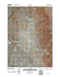 Rincon Flat Oregon Historical topographic map, 1:24000 scale, 7.5 X 7.5 Minute, Year 2011