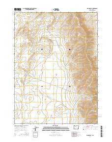 Rincon Flat Oregon Current topographic map, 1:24000 scale, 7.5 X 7.5 Minute, Year 2014