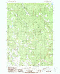 Rio Canyon Oregon Historical topographic map, 1:24000 scale, 7.5 X 7.5 Minute, Year 1988