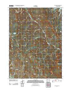 Rio Canyon Oregon Historical topographic map, 1:24000 scale, 7.5 X 7.5 Minute, Year 2011