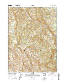 Rio Canyon Oregon Current topographic map, 1:24000 scale, 7.5 X 7.5 Minute, Year 2014