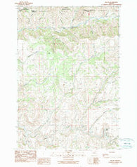 Ritter Oregon Historical topographic map, 1:24000 scale, 7.5 X 7.5 Minute, Year 1990